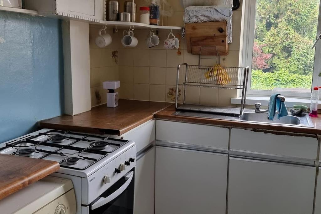 Apartamento Entire Flat In Alexandra Palace *
