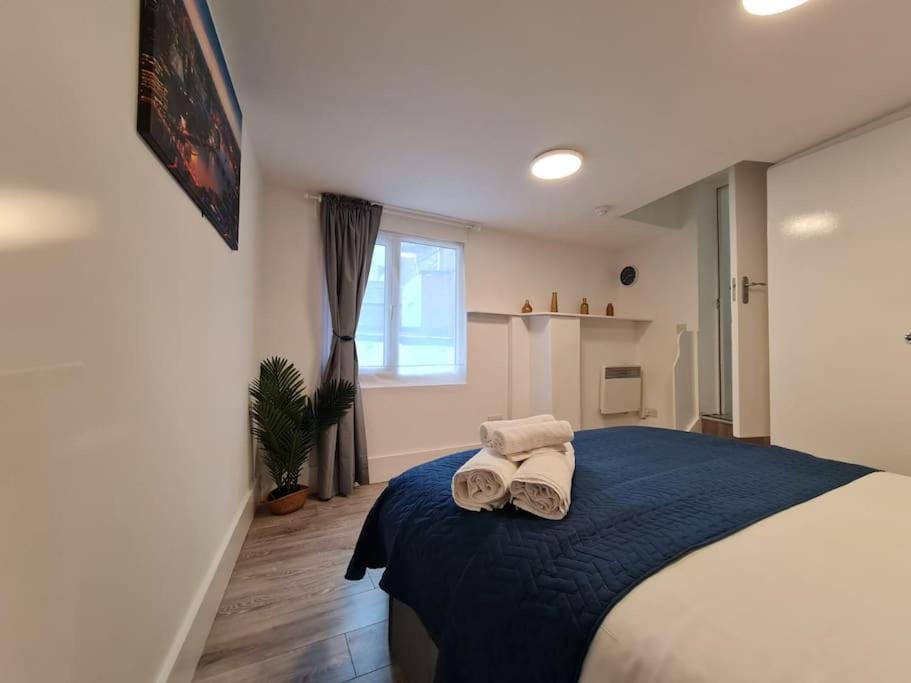 Stylish And Spacious 1 Bedroom Kensal Tube 1a Londres
