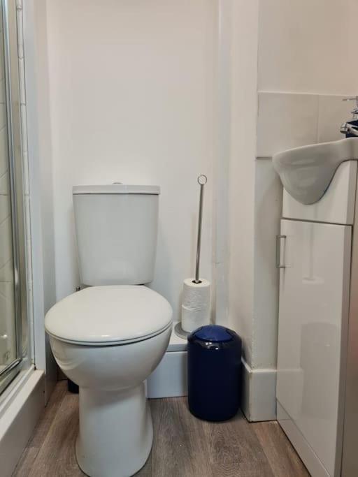 Stylish And Spacious 1 Bedroom Kensal Tube 1a * Londres