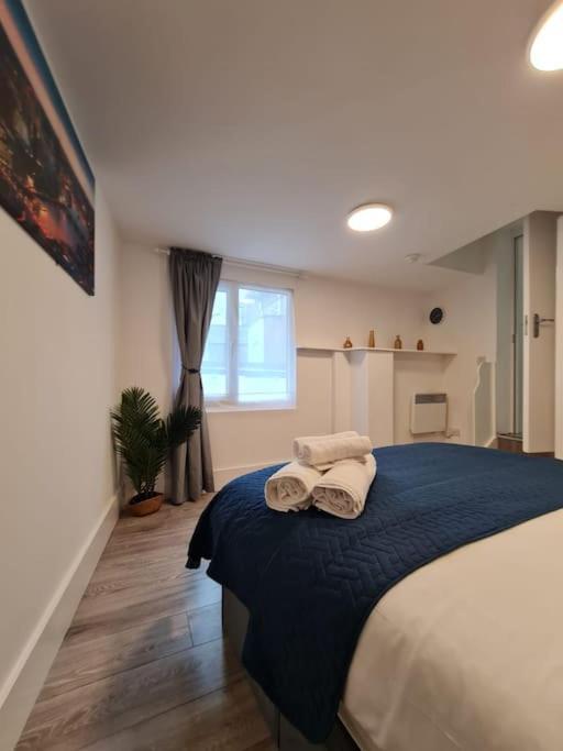 Stylish And Spacious 1 Bedroom Kensal Tube 1a Londres