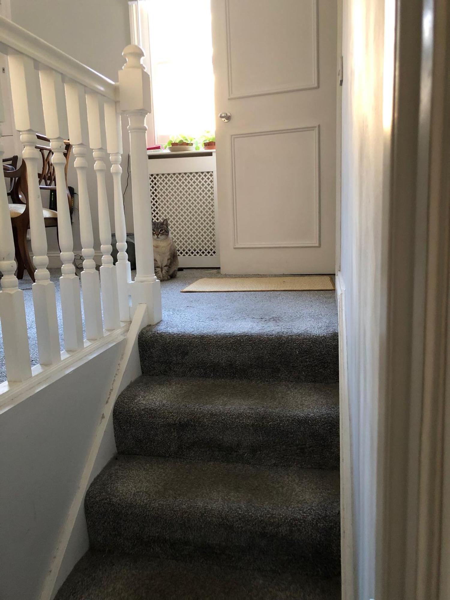 Shared House - Private With Dedicated Guest Bathroom Near Paddington Hospedagem domiciliar *