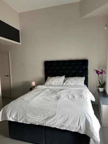 Sleek & 1bd Flat - Battersea Park