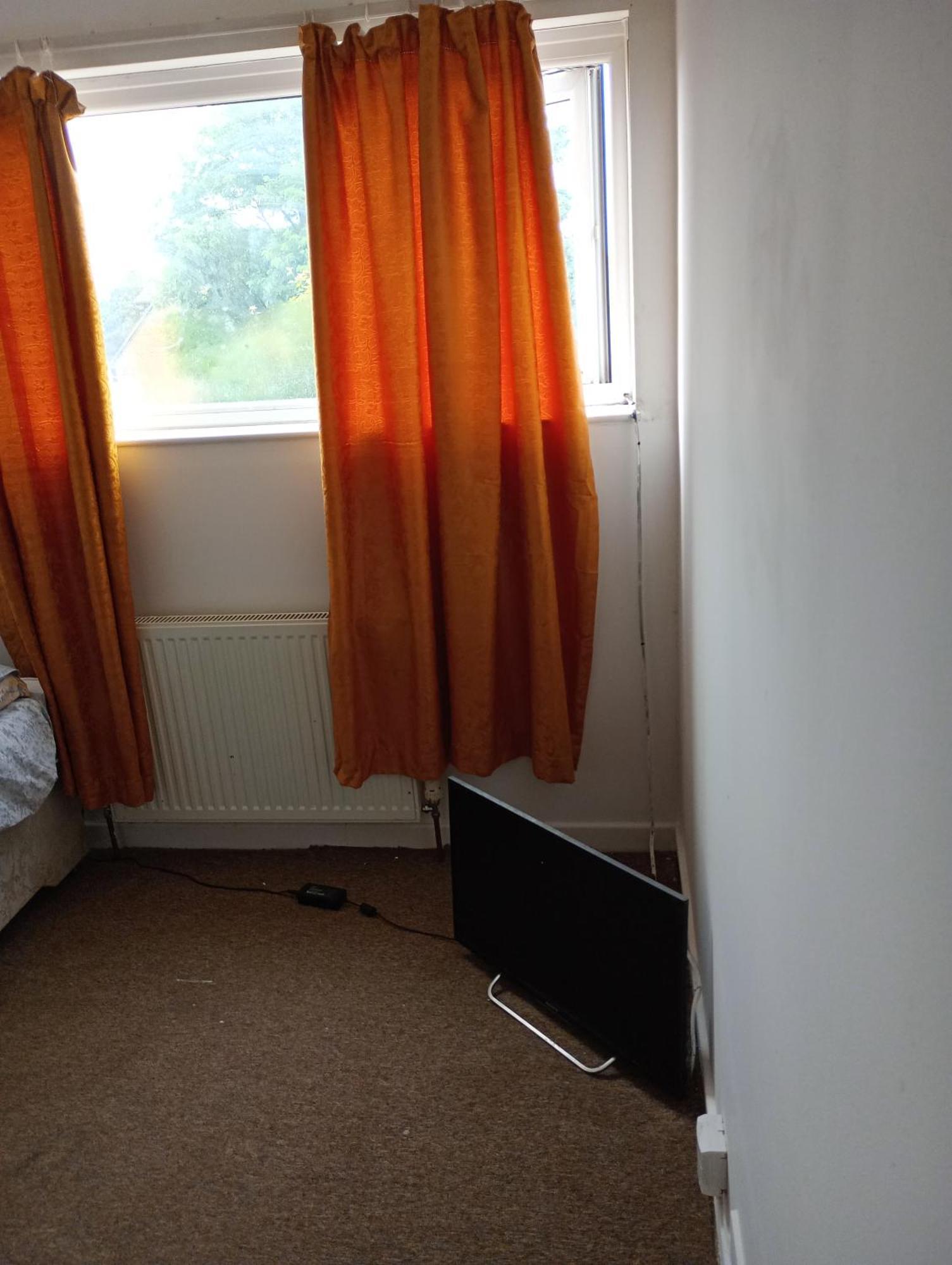 Rex Gaf London