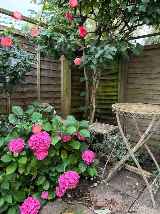 Cozy 1-bedroom In Turnham * Londres