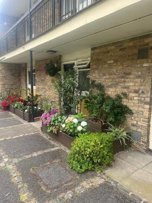 Beautiful 1 Bedroom House With Garden Appartement Londen