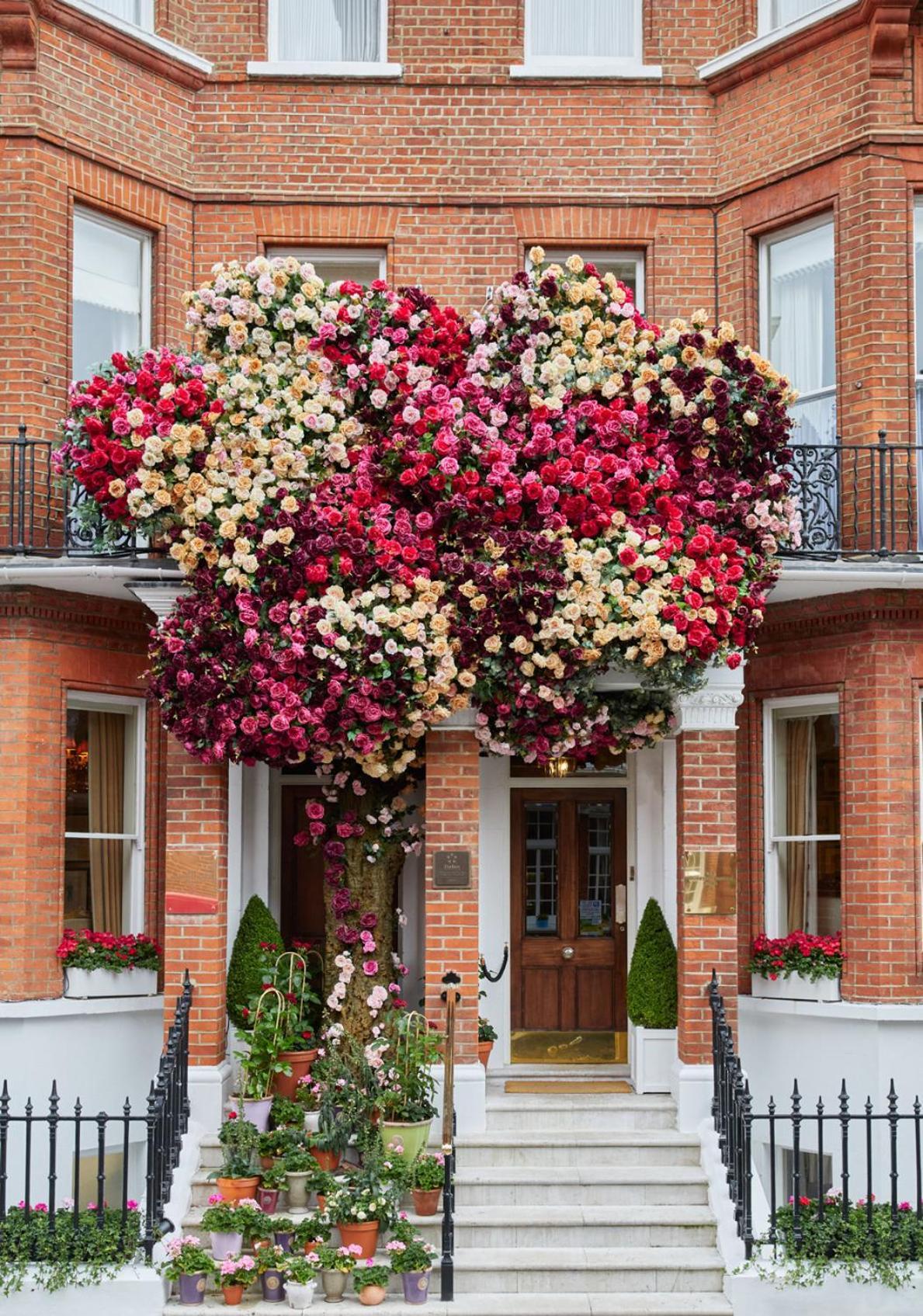 Egerton House 5* Londres