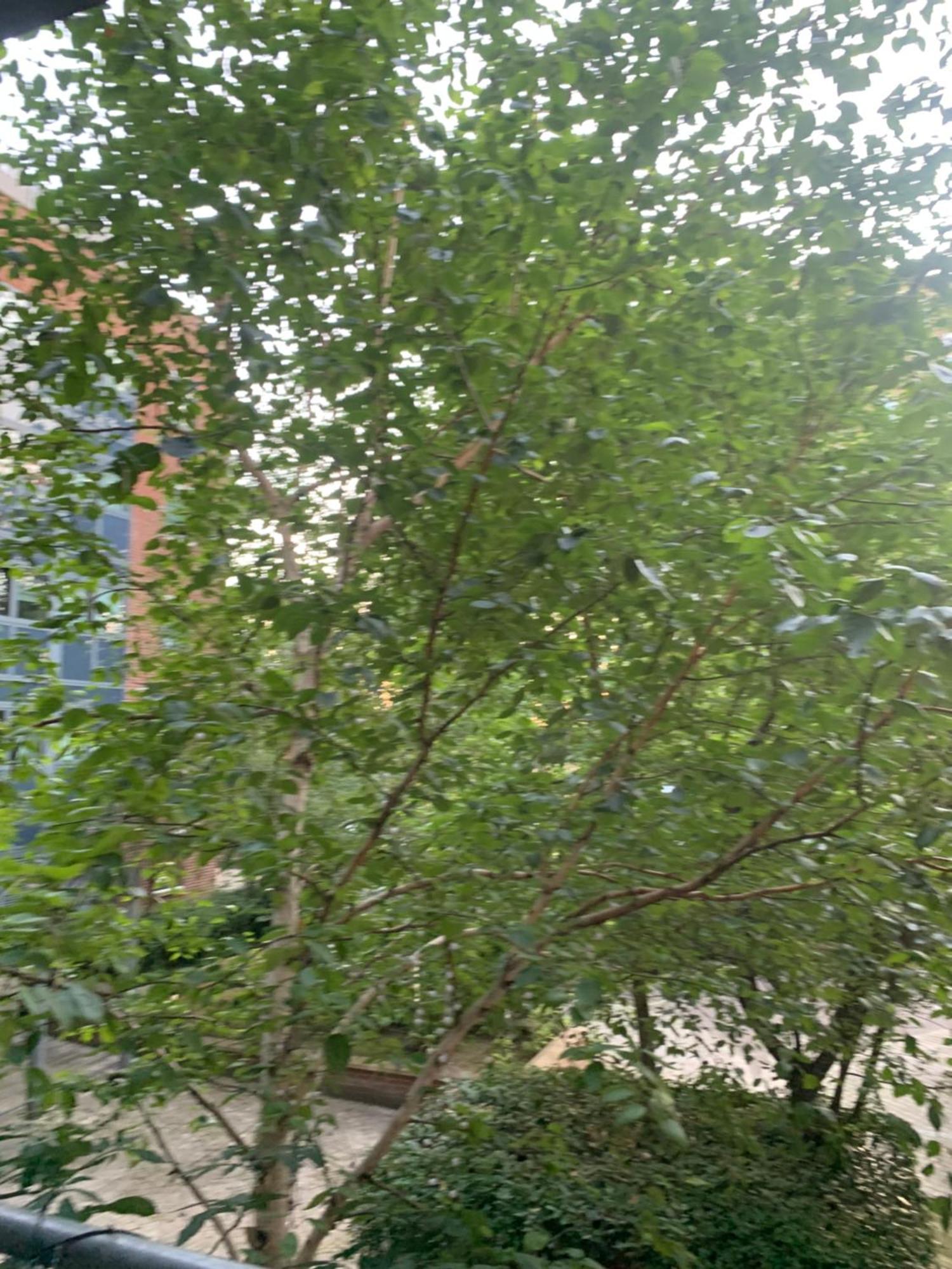 Donnington Court Londres