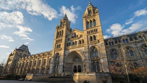 1-bed Apartment, Close To Kensington Olympia With Free Wi-fi & Netflix Appartement Londen