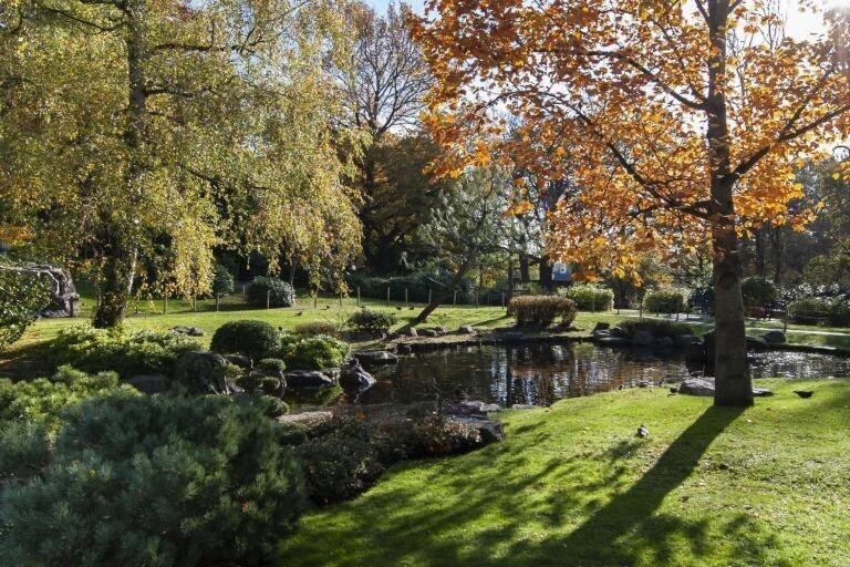 Appartement 1-bed Apartment, Close To Kensington Olympia With Free Wi-fi & Netflix