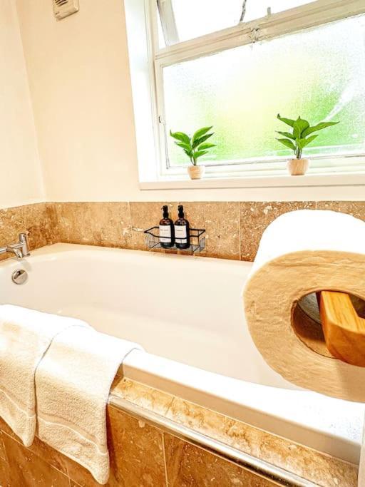 Oasis Split Level Flat In Zone 1 * Londres