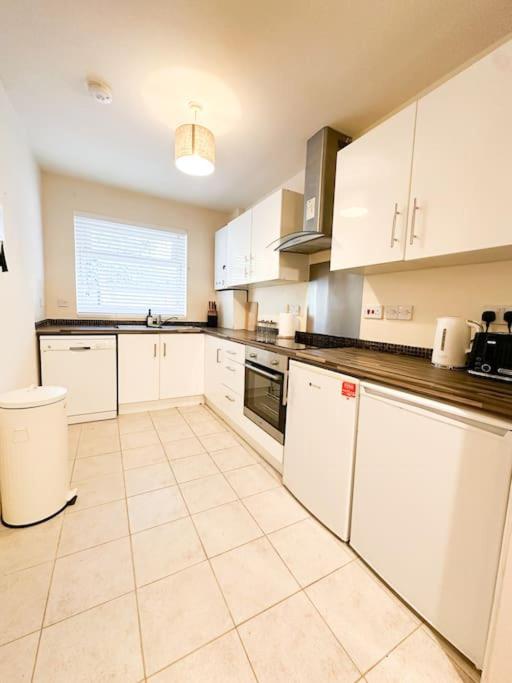 Oasis Split Level Flat In Zone 1