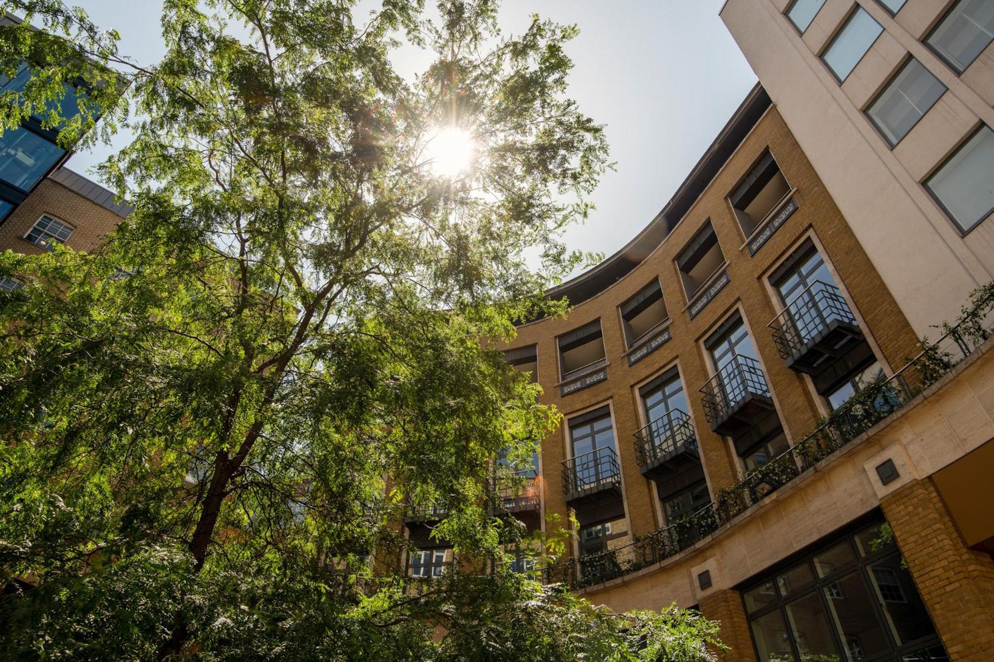 Apartamento Cove St Martin's Londres