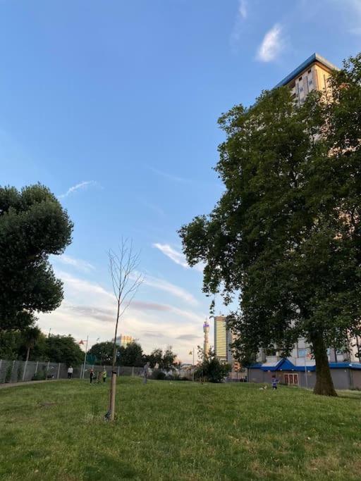 Comfy Entire Flat With View Balcony In Regents Park, Camden, Apartment
