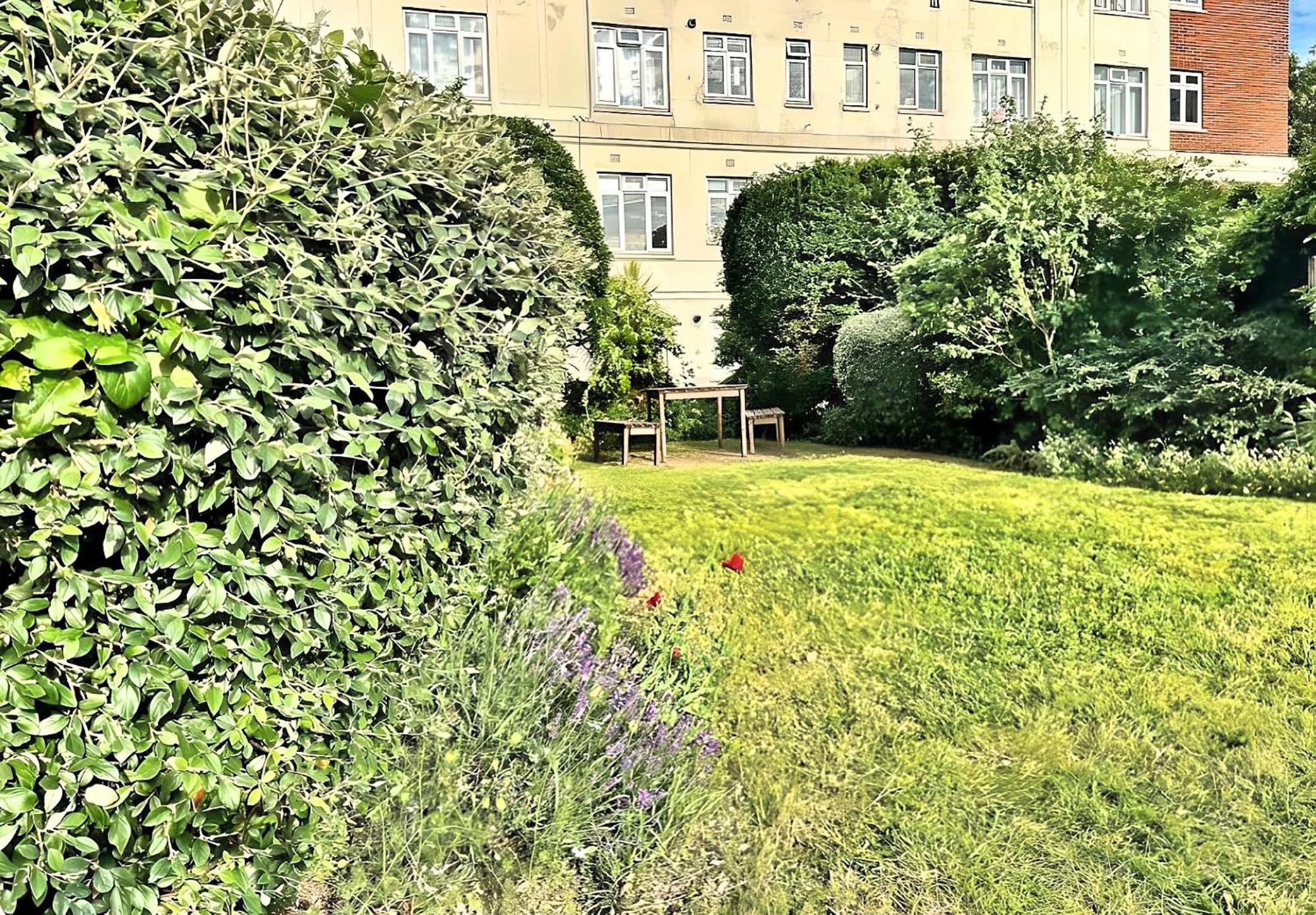Brixton Hill Retreat Modern And Cosy Homestay