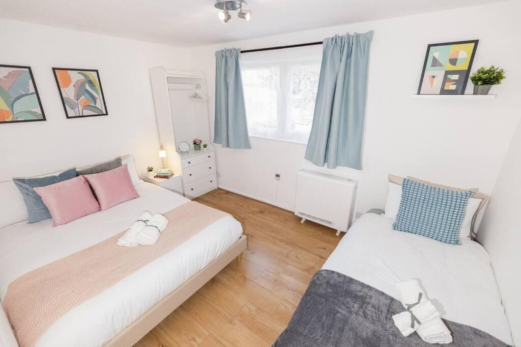 Tranquil 2 Bed Near Downtown & Free Parking
