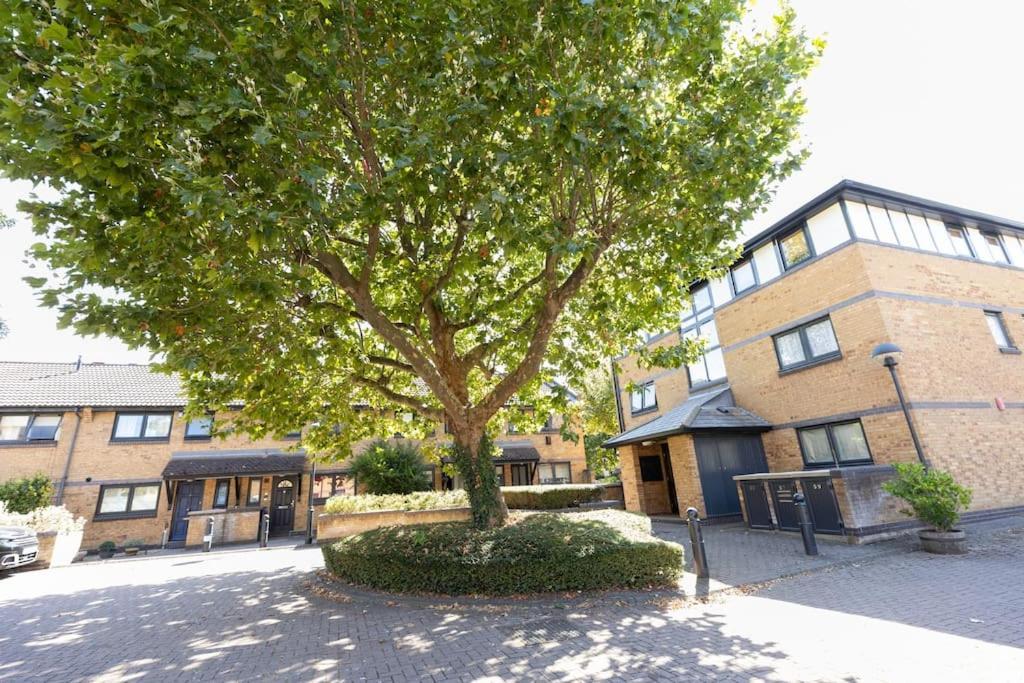 Tranquil 2 Bed Near Downtown & Free Parking