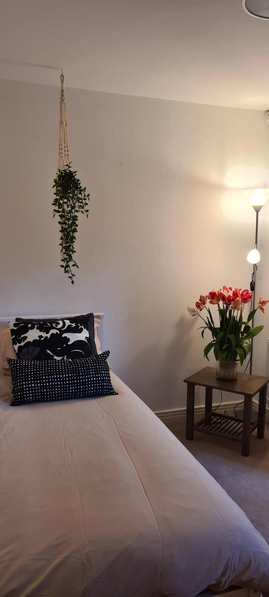 3b Modern - Garden & Free Parking *
