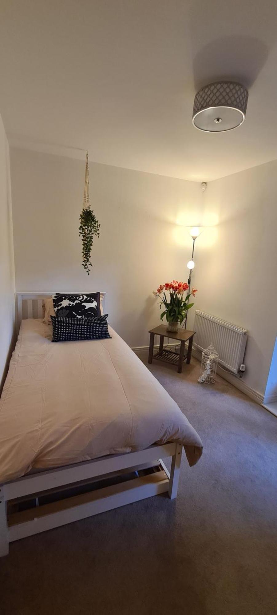 3b Modern - Garden & Free Parking