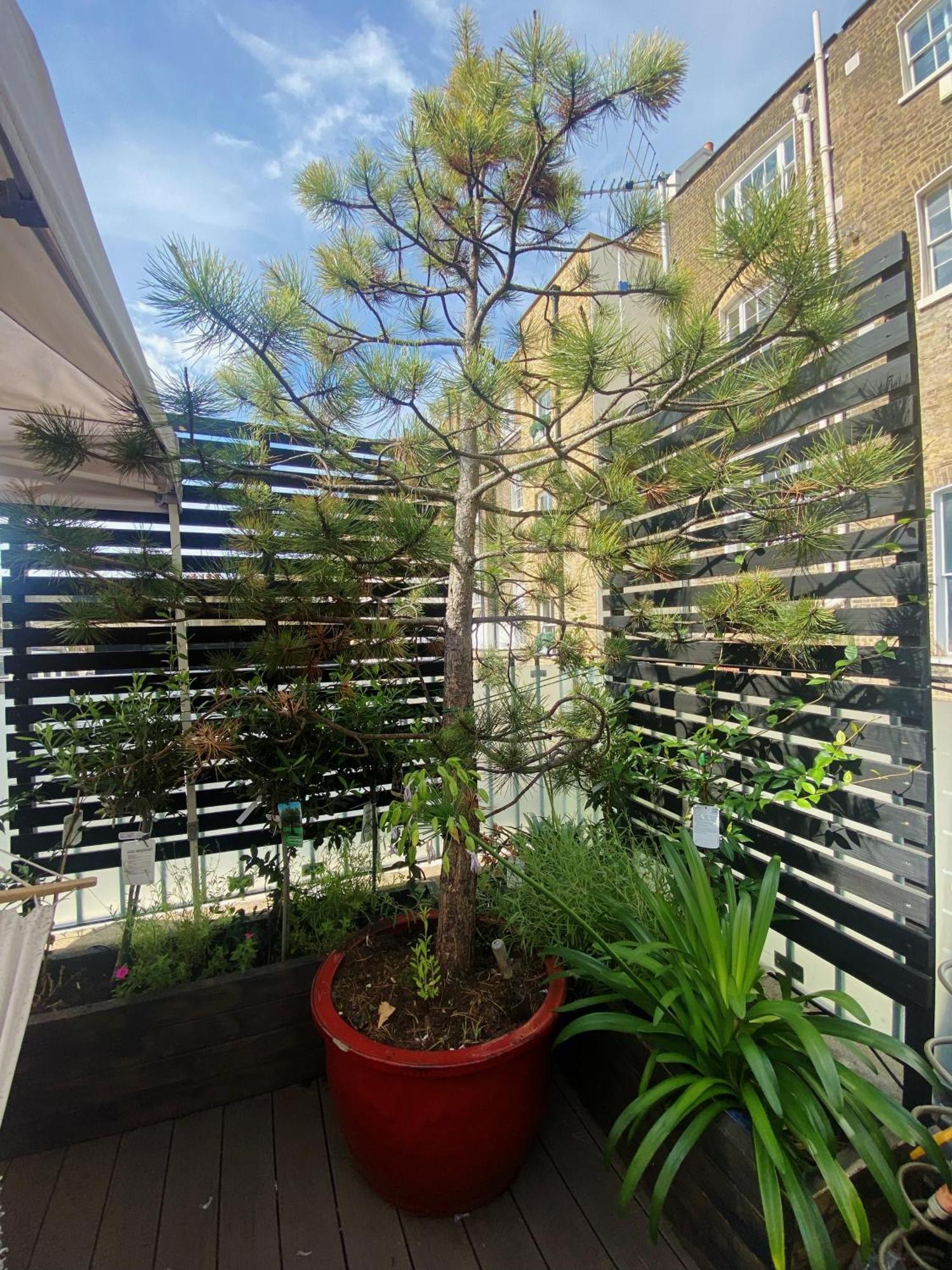 Luxury Belgrave Square Private Mews Townhouse Сasa de vacaciones