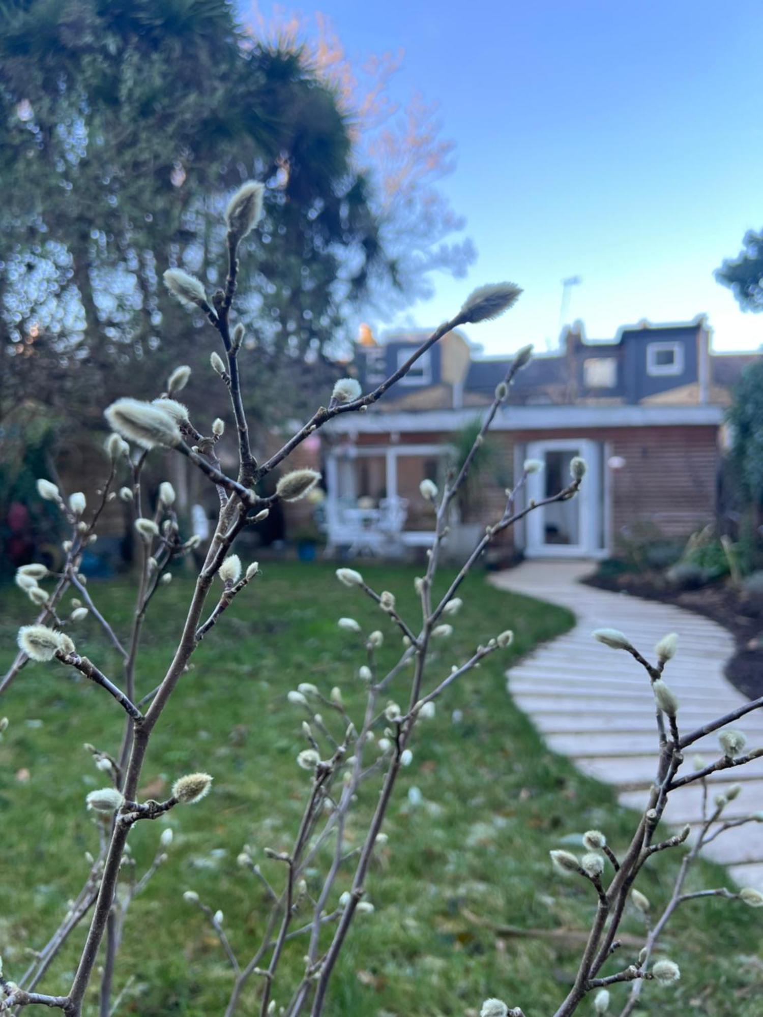 Beautiful Garden View Apartment *