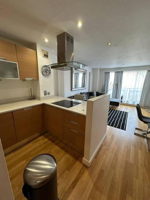 Apartment Two Br Flat 5 Mins Walk From Eye G96 London