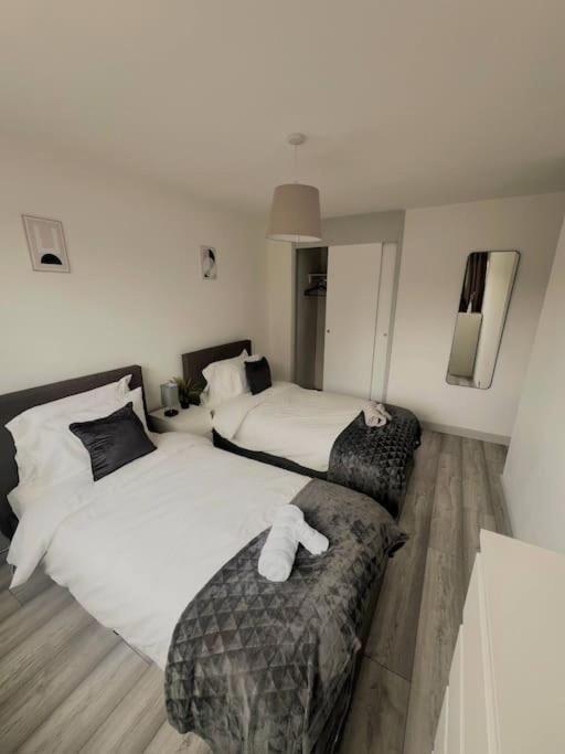 Apartamento Spacious In Wandsworth