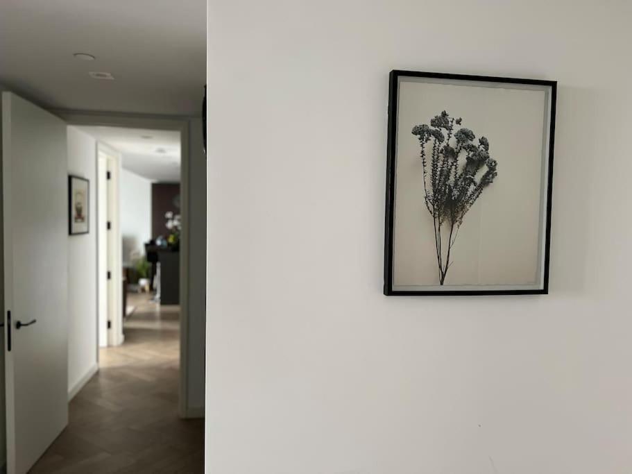 Modern 2 Bed Flat At Battersea Appartement