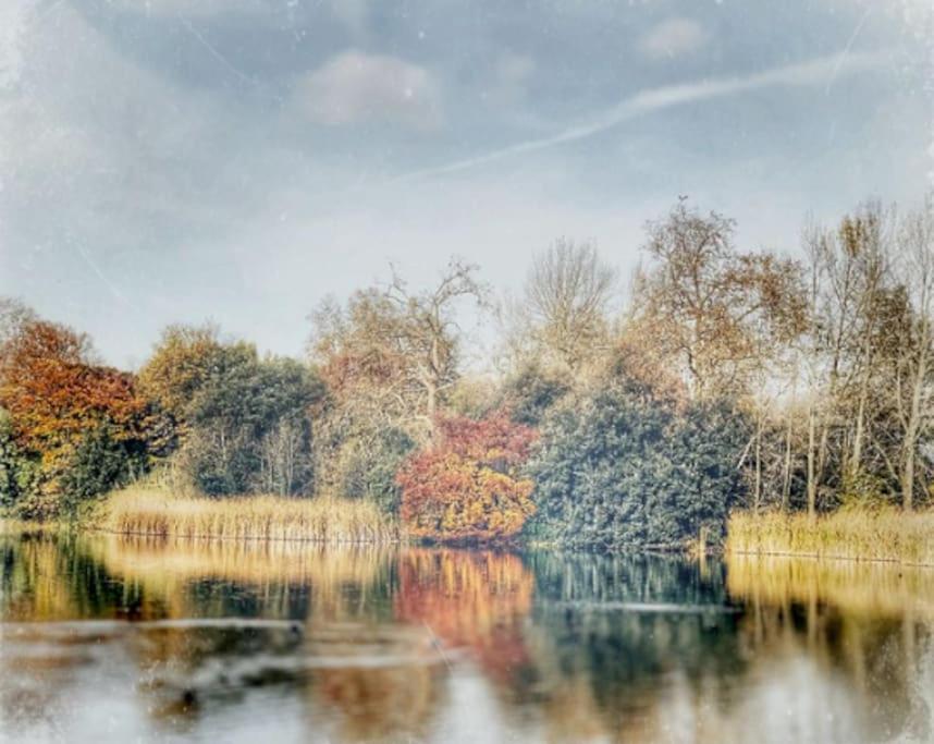 Upscale Riverfront 1br Flat, Prestigious Battersea Appartement Londres