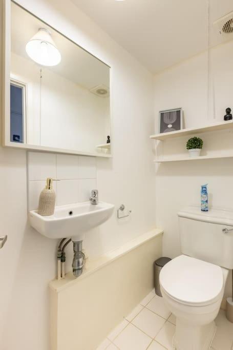 Lovely Garden Flat In Appartement Londres