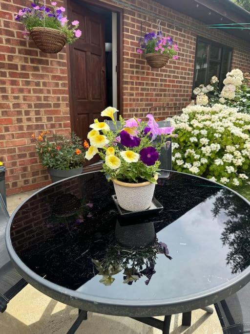 Garden Flat In London
