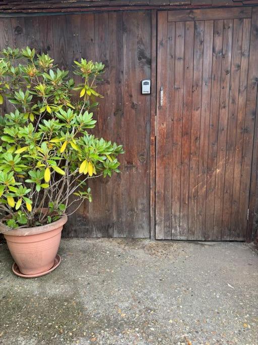 Garden Flat In Apartment *