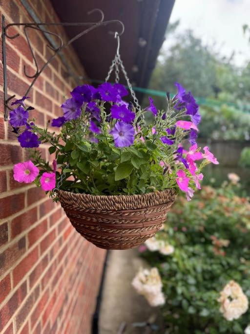 Garden Flat In London