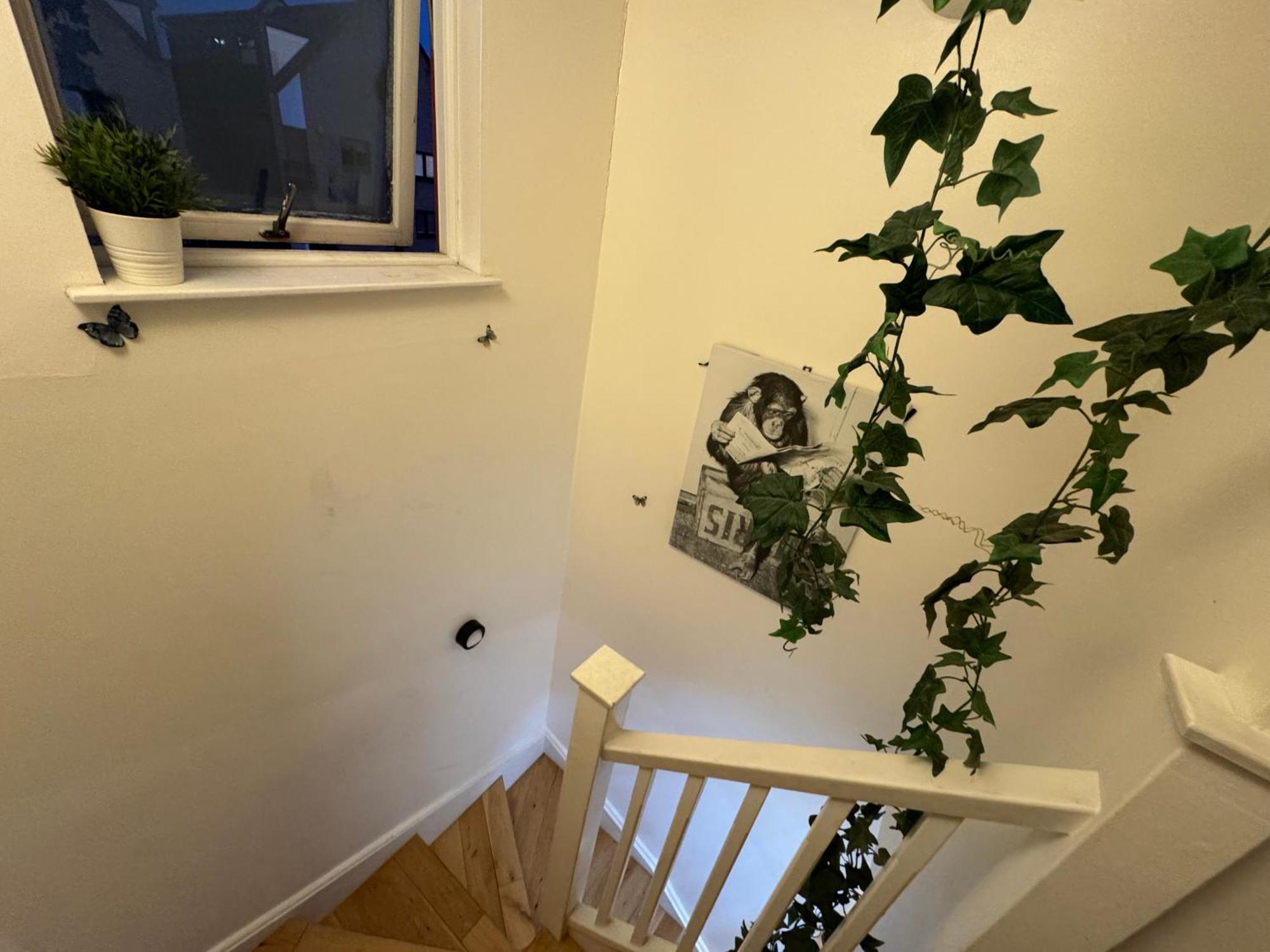 Cozy Rooms Near Central London * Londres