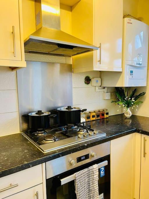 Hébergement de vacances Beautiful 3bd Family With Huge Private Graden Londres