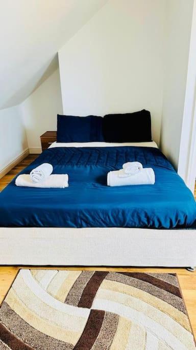 Beautiful 3bd Family With Huge Private Graden Hébergement de vacances Londres