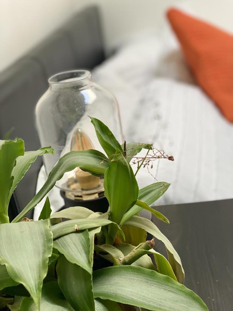 Hospedagem domiciliar Penge Luxury Retreat *