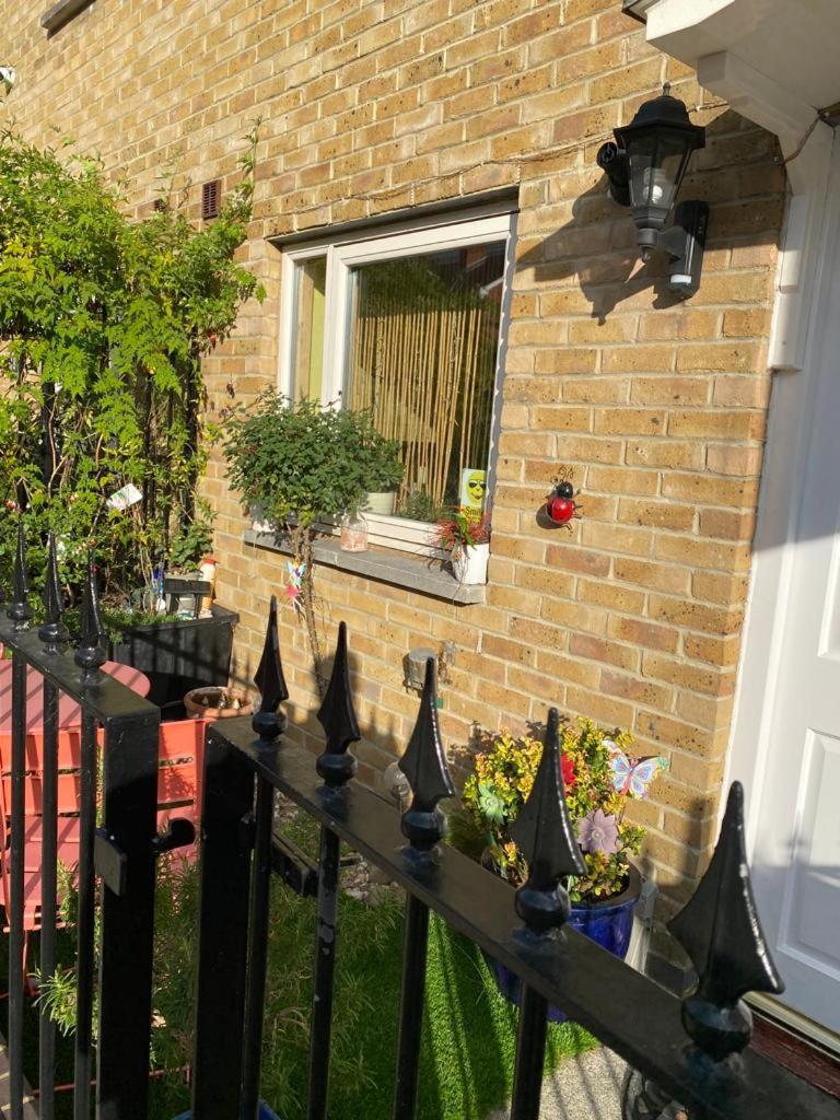 Penge Luxury Retreat Homestay *