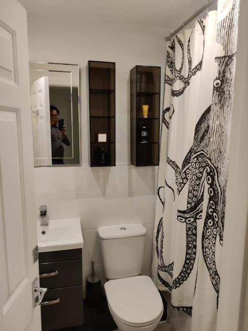 Beautiful, Spacious And Near Covent Garden Appartement *