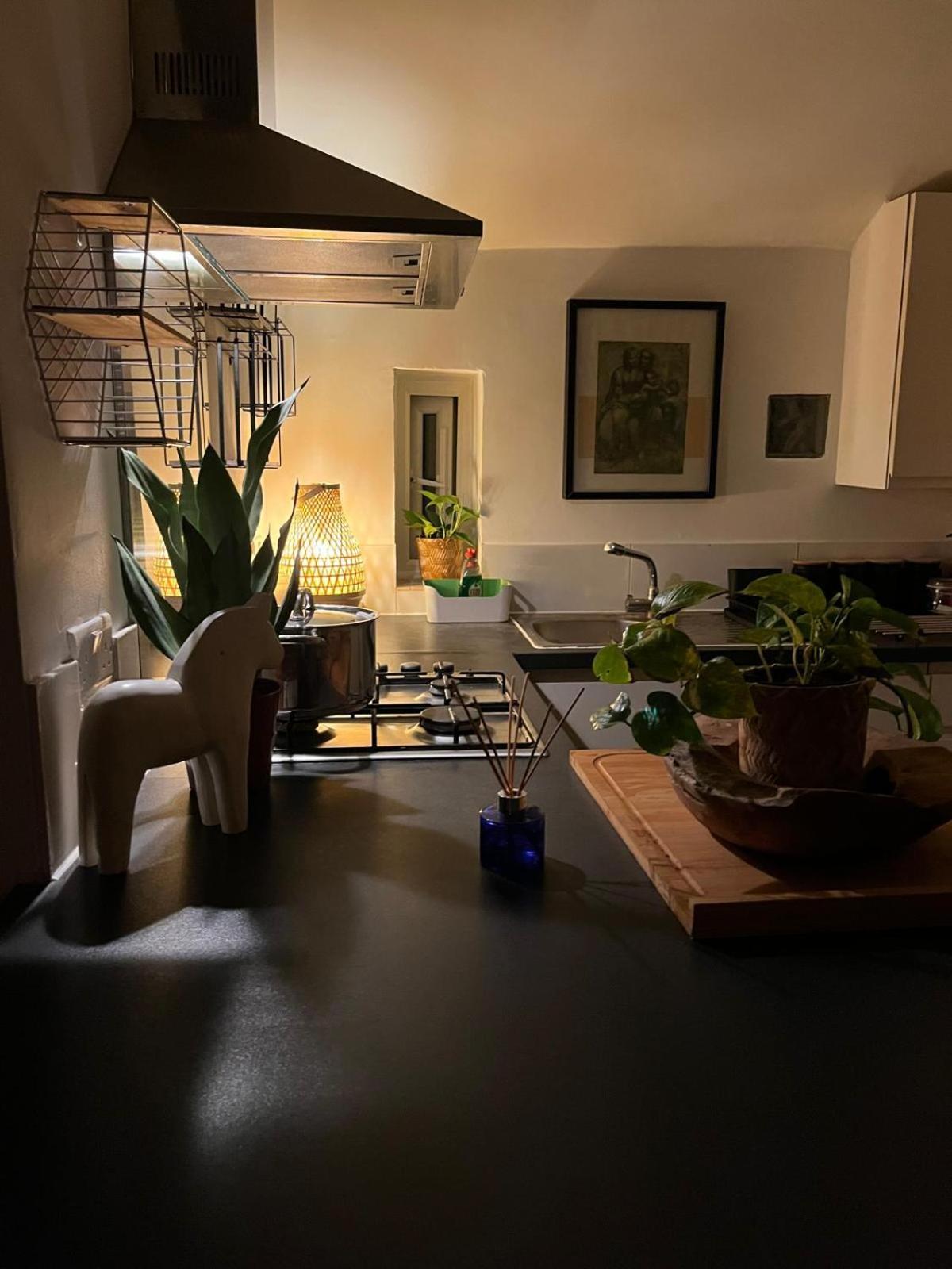 Camden Town Cosy Apartment