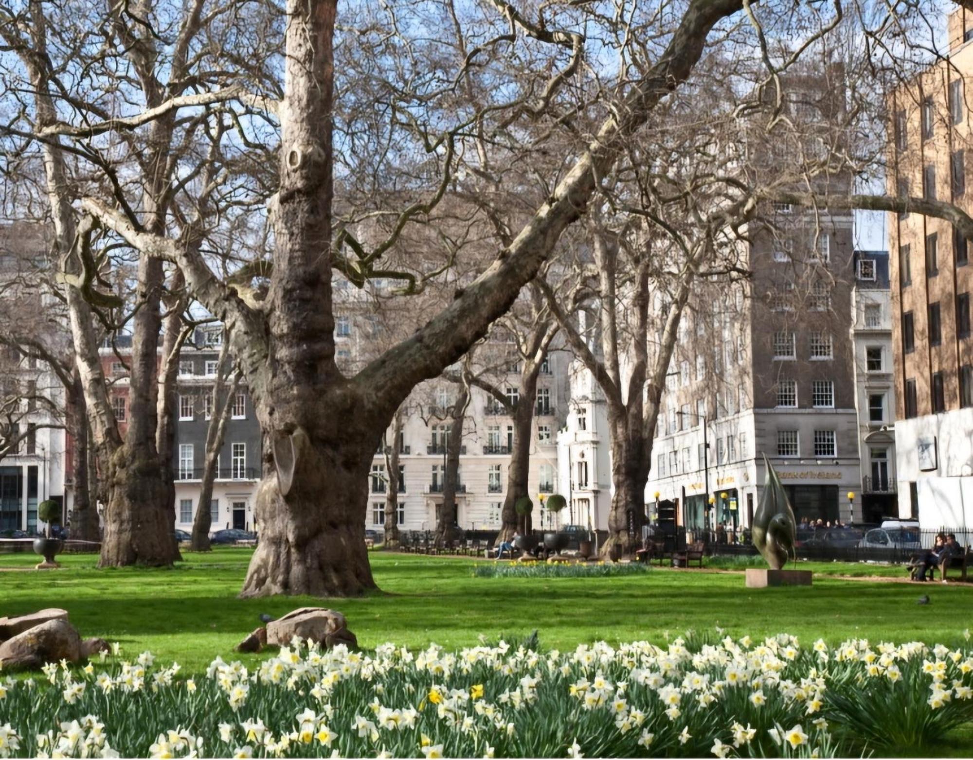 Modern Flat In Mayfair Londres
