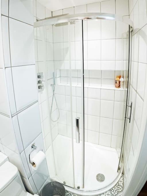 Appartement House With Garden Stoke Newington Londres