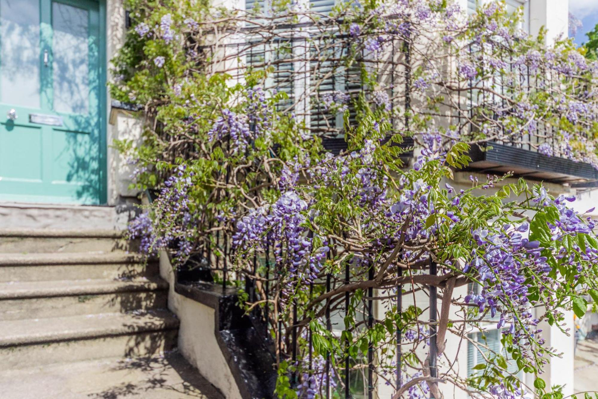 Apartamento Primrose Boutique Londres