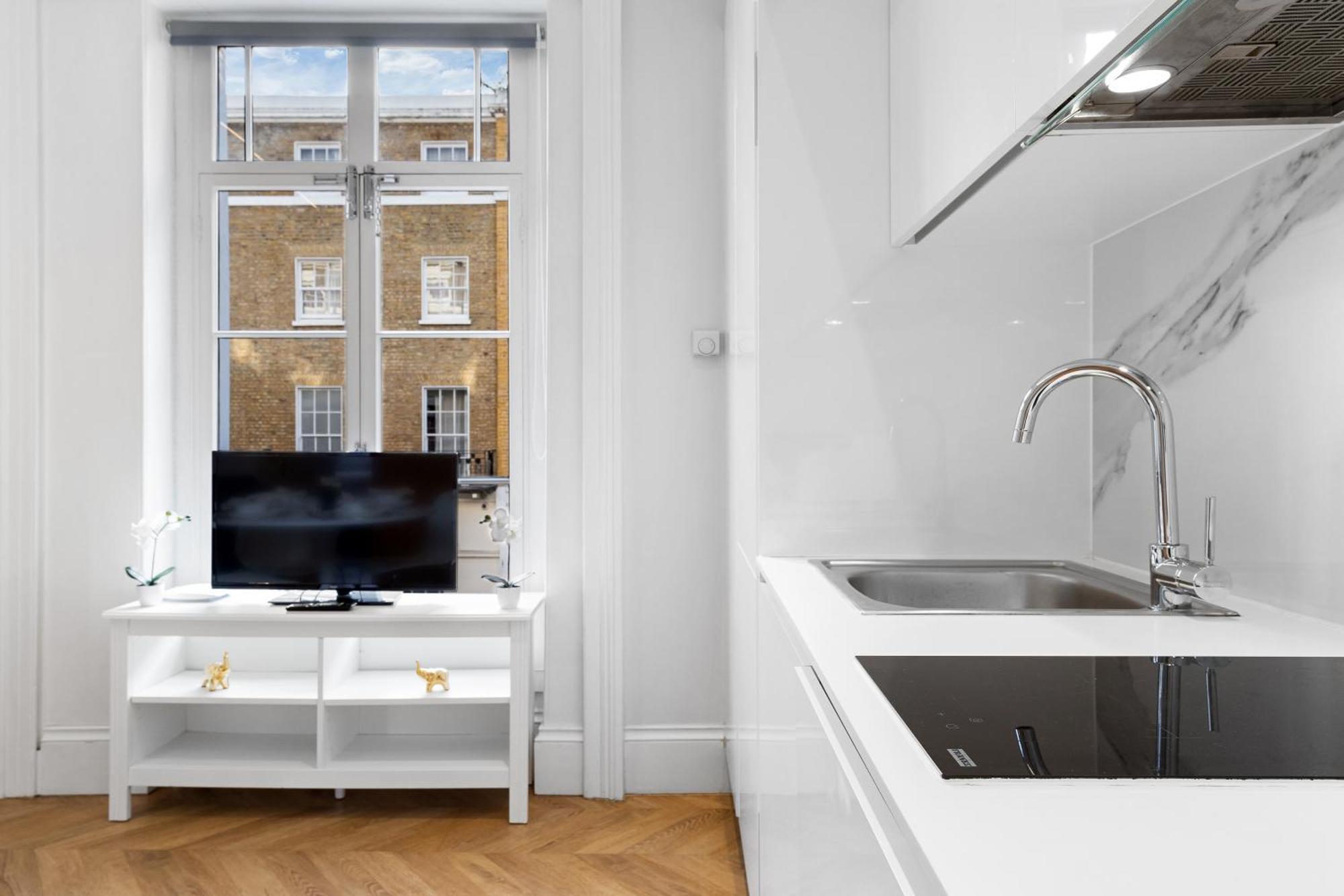 Stunning Hyde Park Apartment London