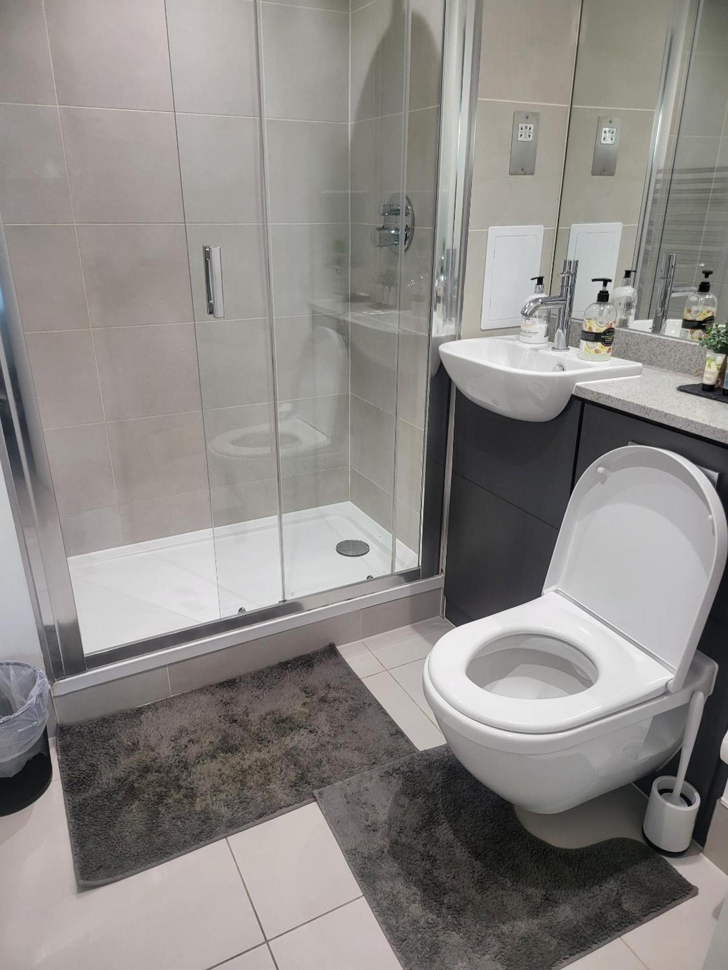Kayz Lodge- Luxury Ensuite-private & Shared In A New House At The Olympic Village Overlooking Stratford Westfield And Tube Station Londres