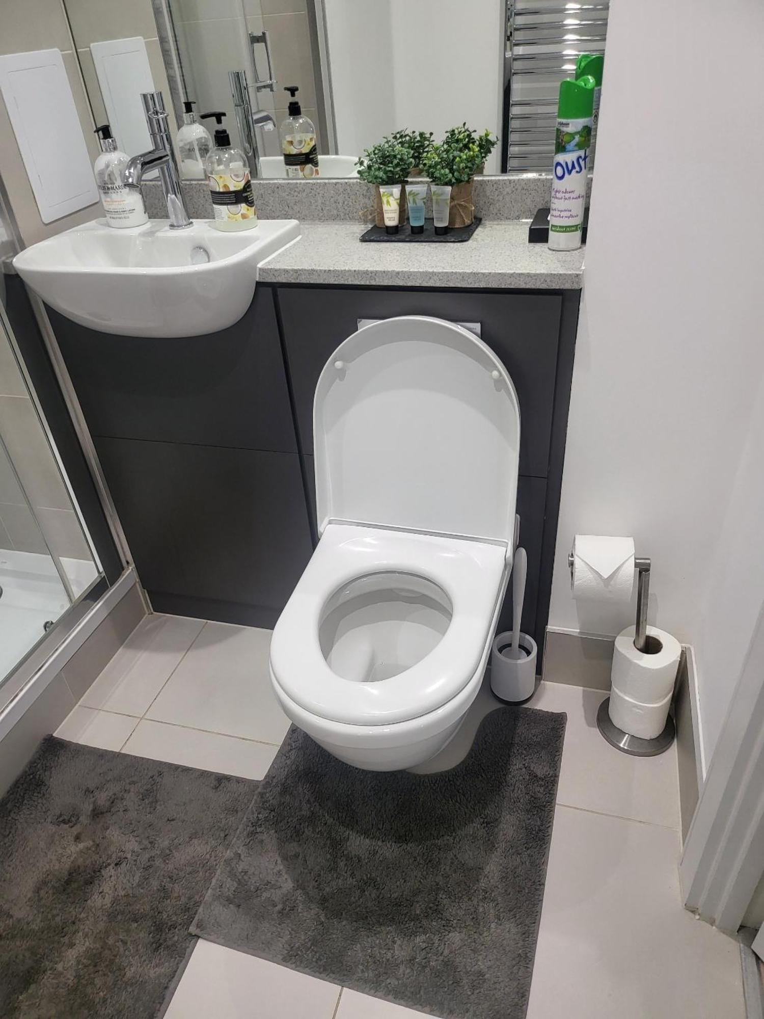Kayz Lodge- Luxury Ensuite-private & Shared In A New House At The Olympic Village Overlooking Stratford Westfield And Tube Station Alojamento de Turismo Selvagem