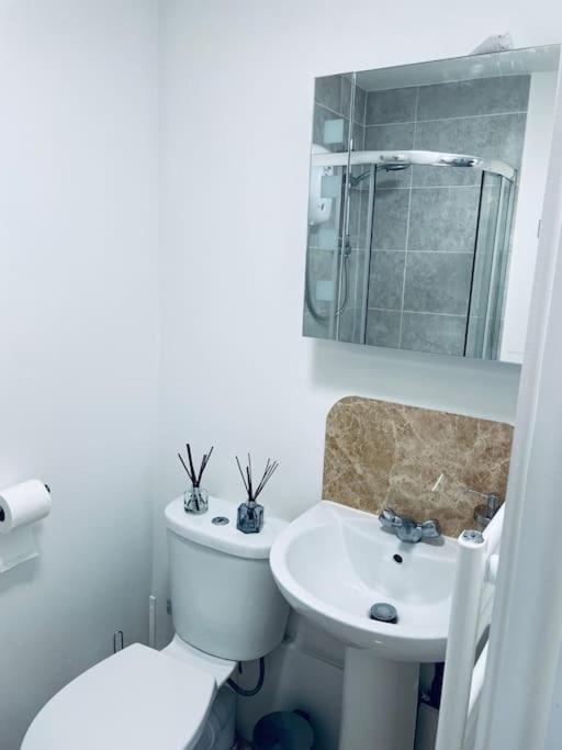 Ivy Two Bedroom & Garden In Temple Fortune Appartement *