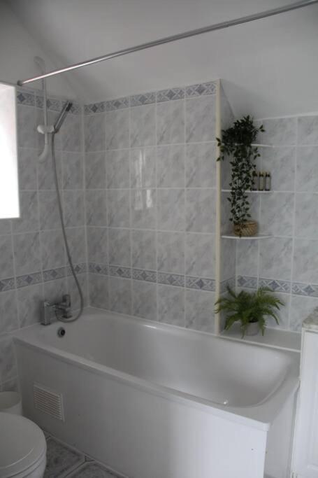 Bright Garden Studio! Apartamento