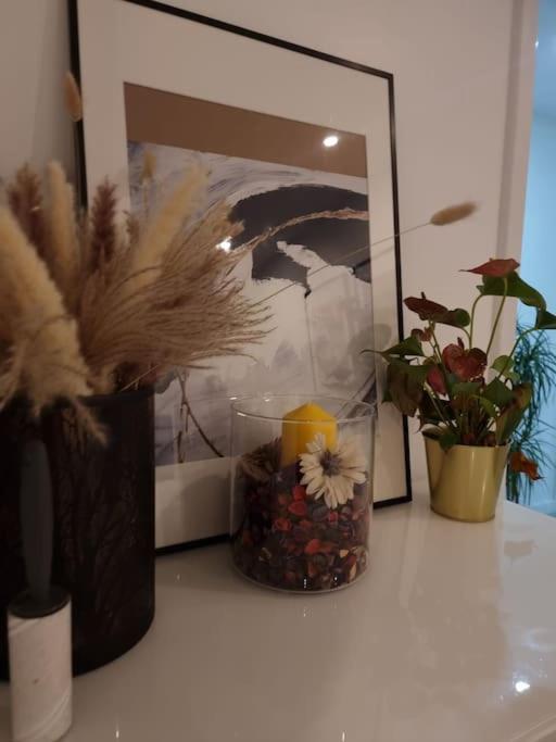 Cozy Modern Flat In Angel Islington * Londres