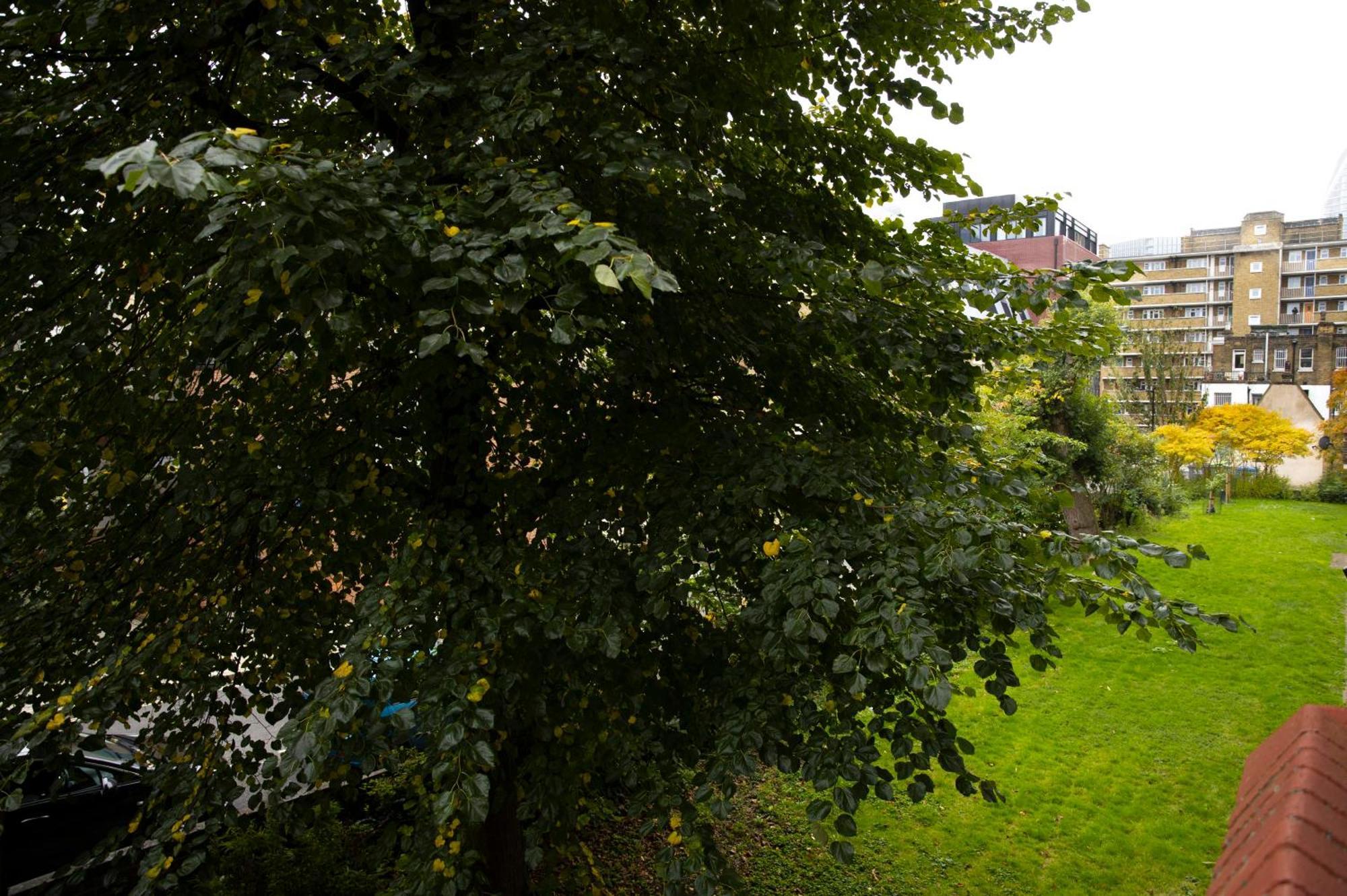 Cosy 3b In The Londres