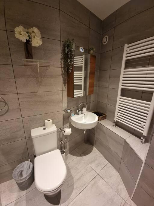 Large Duplex Flat At Bridge Appartement Londres